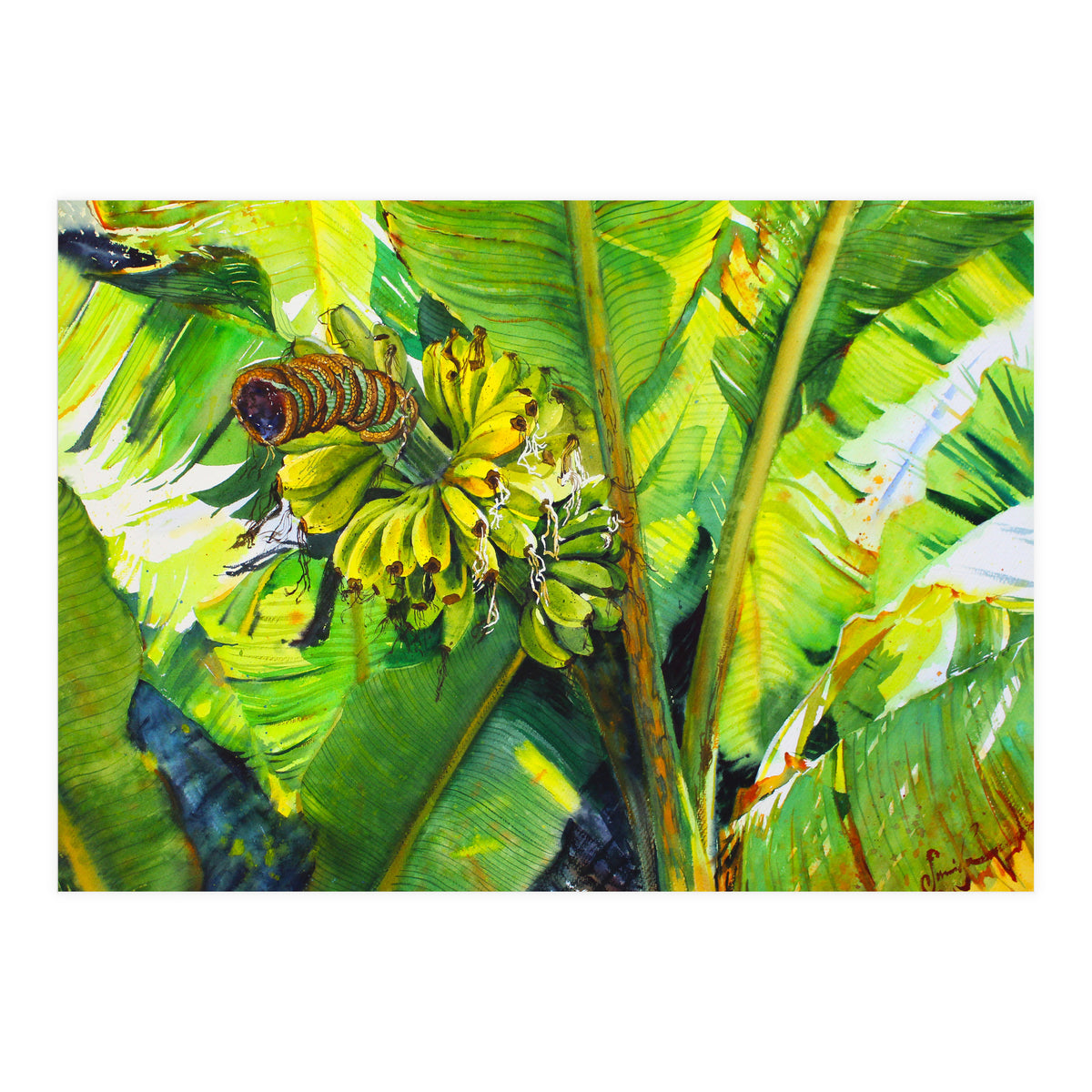 Tropical Fruit (Print Only)