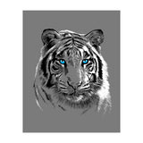 Sketch Tiger (Print Only) thumbnail