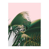 Palm Love (Print Only) thumbnail