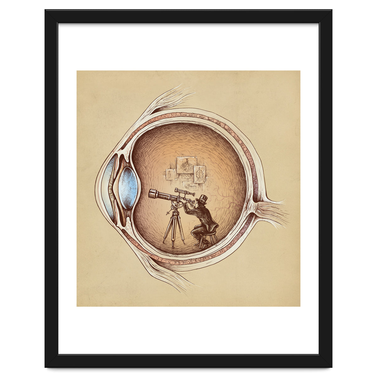 Extraordinary Observer