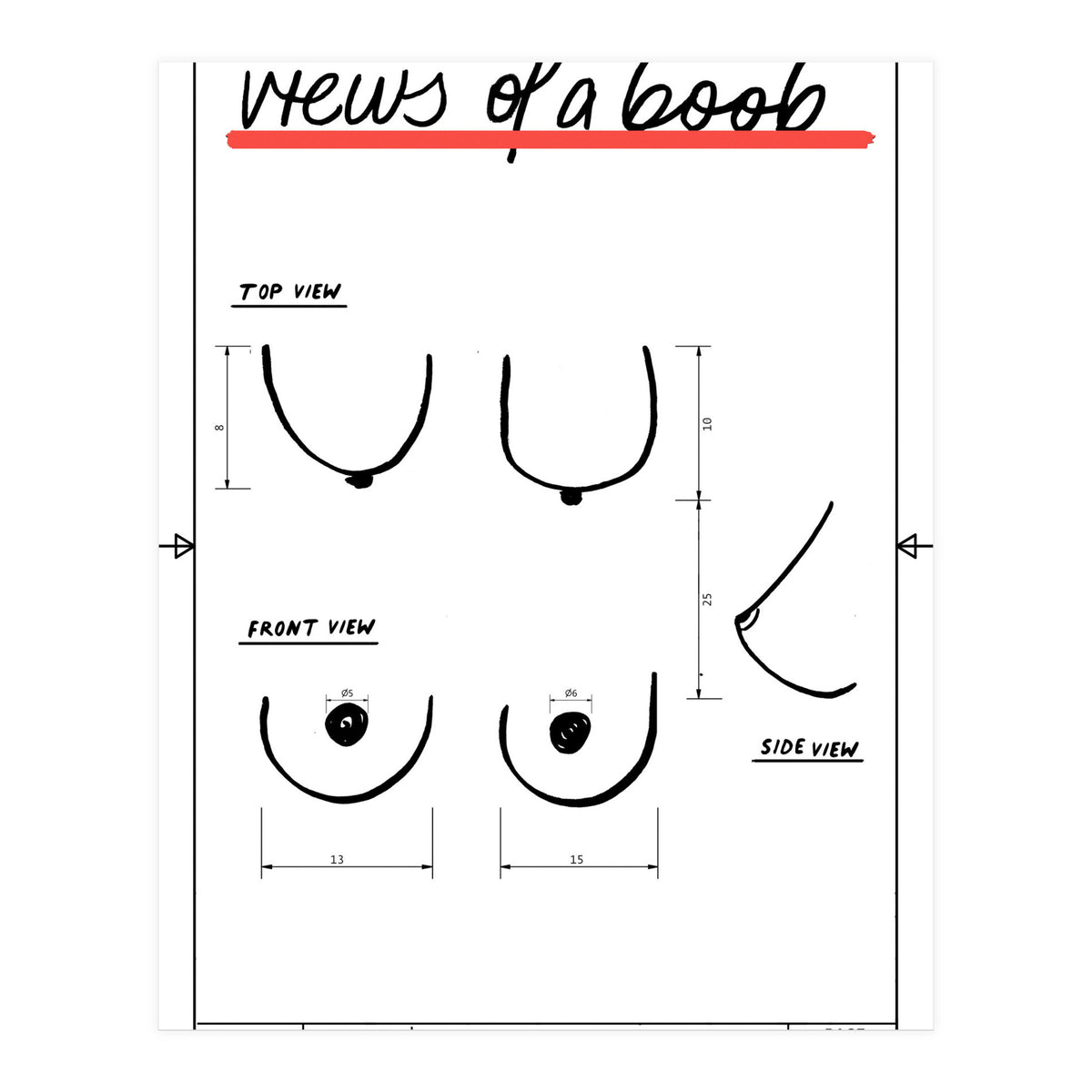 Views of a boob (Print Only)