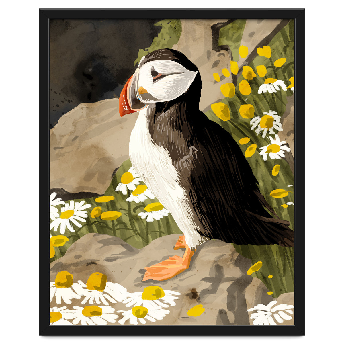 Puffin