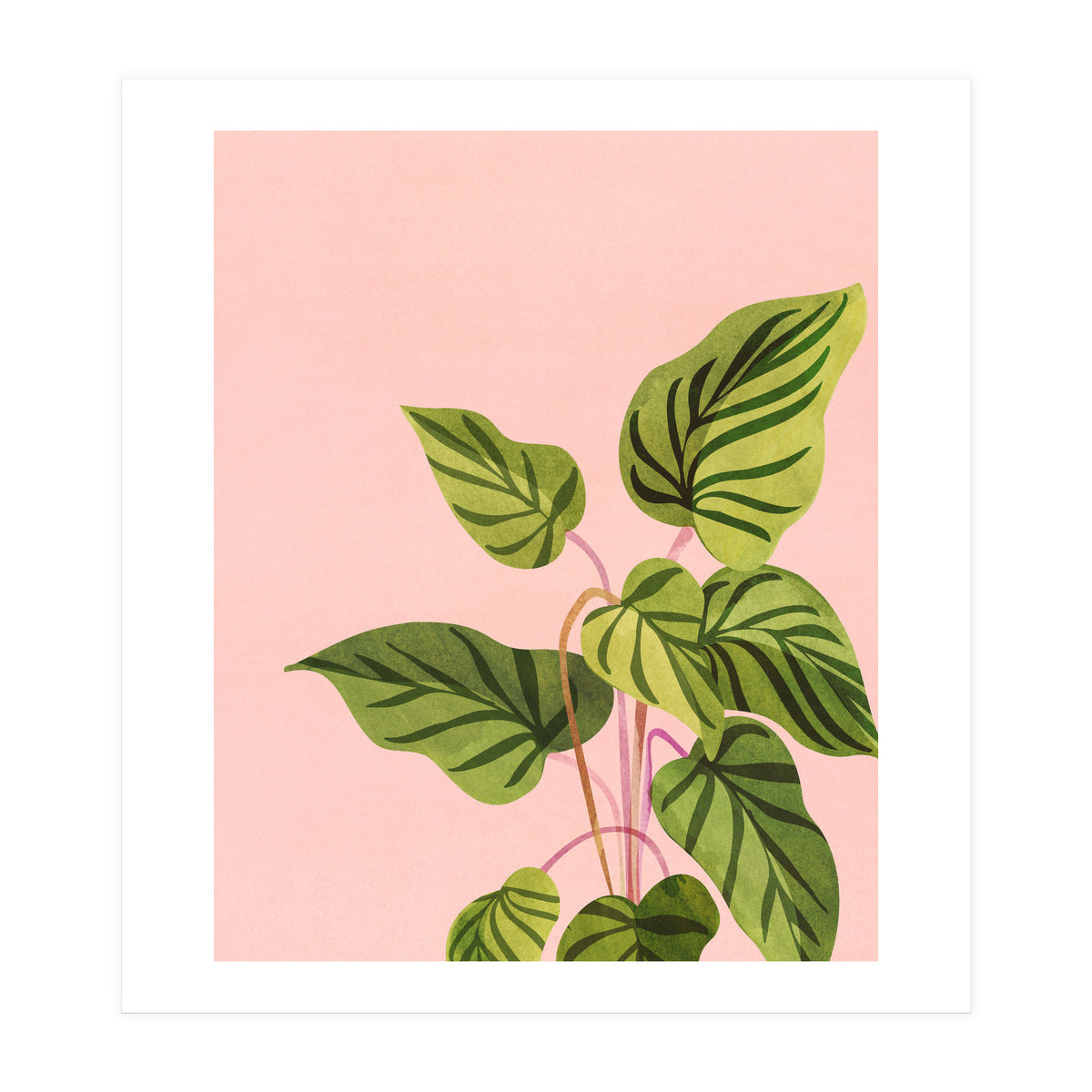 Tropical Rising (Print Only)