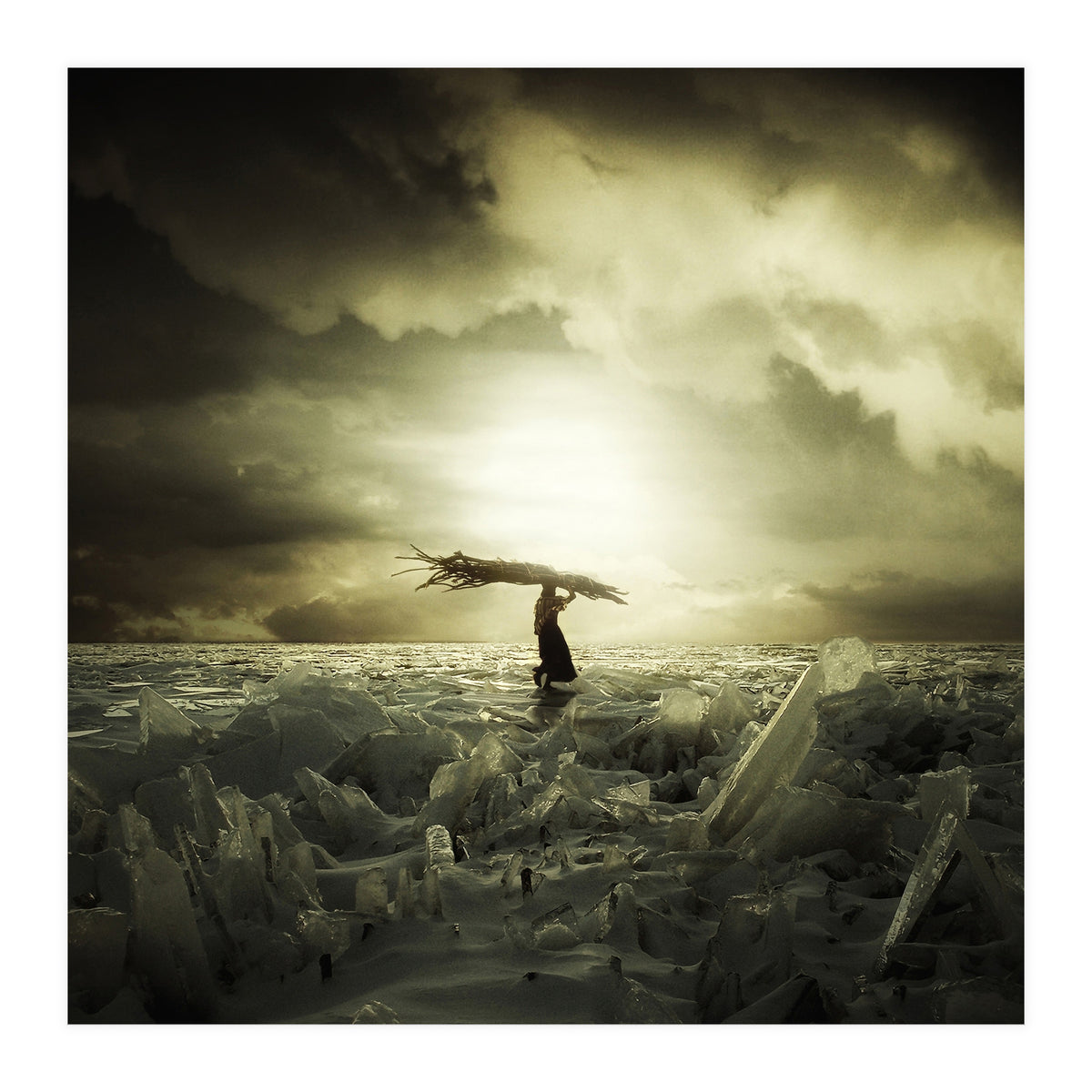 Frozen Nation (Print Only)