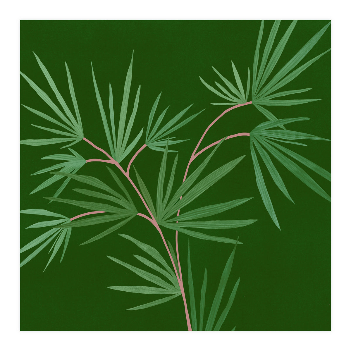 Abstract Palm (Print Only)