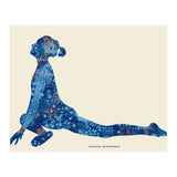 Eka Pada Rajakapotasana | Pigeon Pose (Print Only) thumbnail