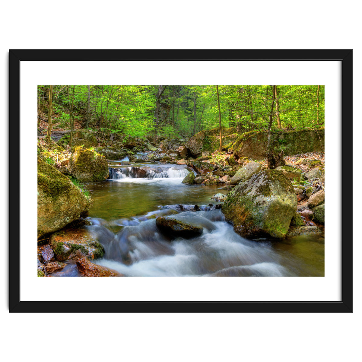 Spring At Harz Moutain