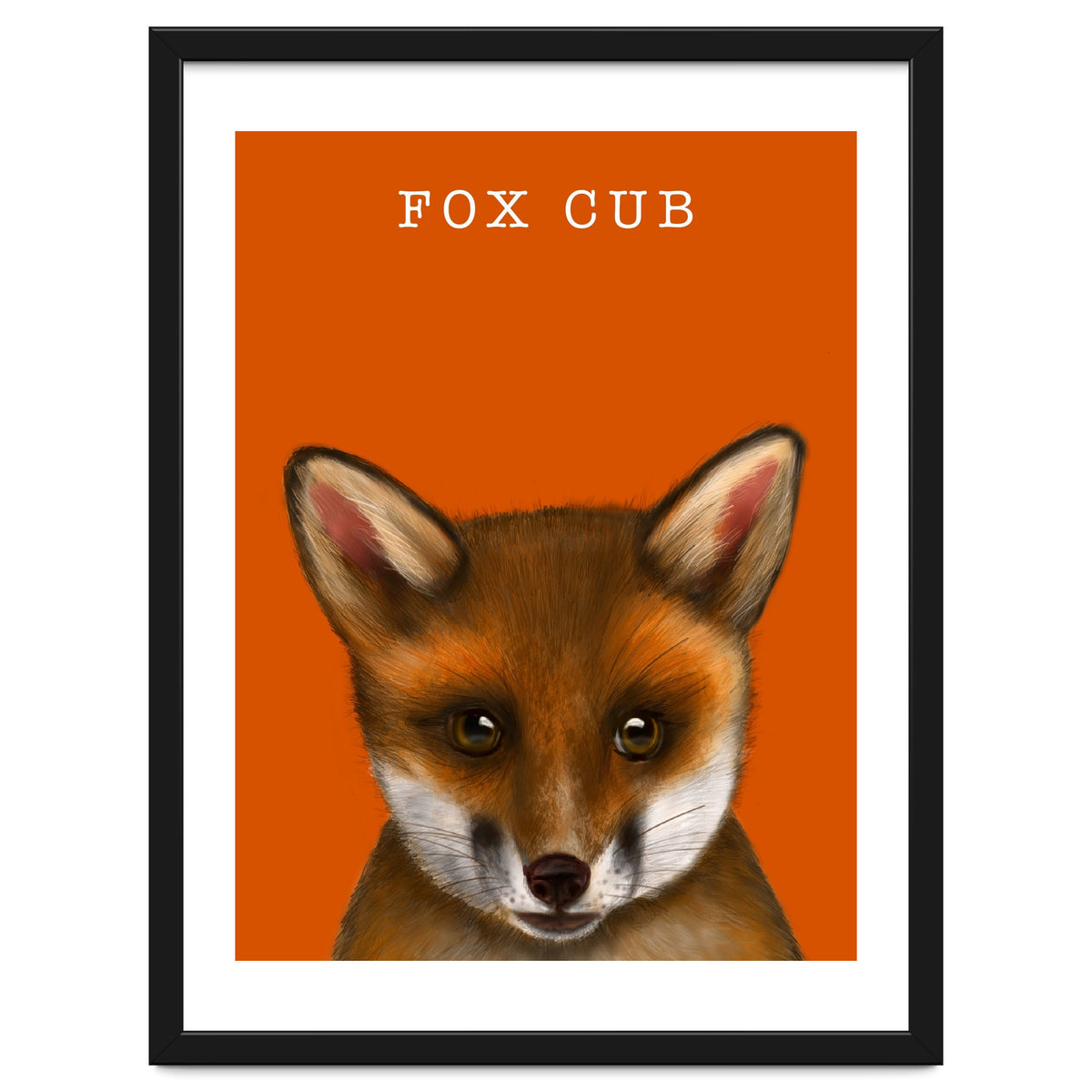 Fox Cub