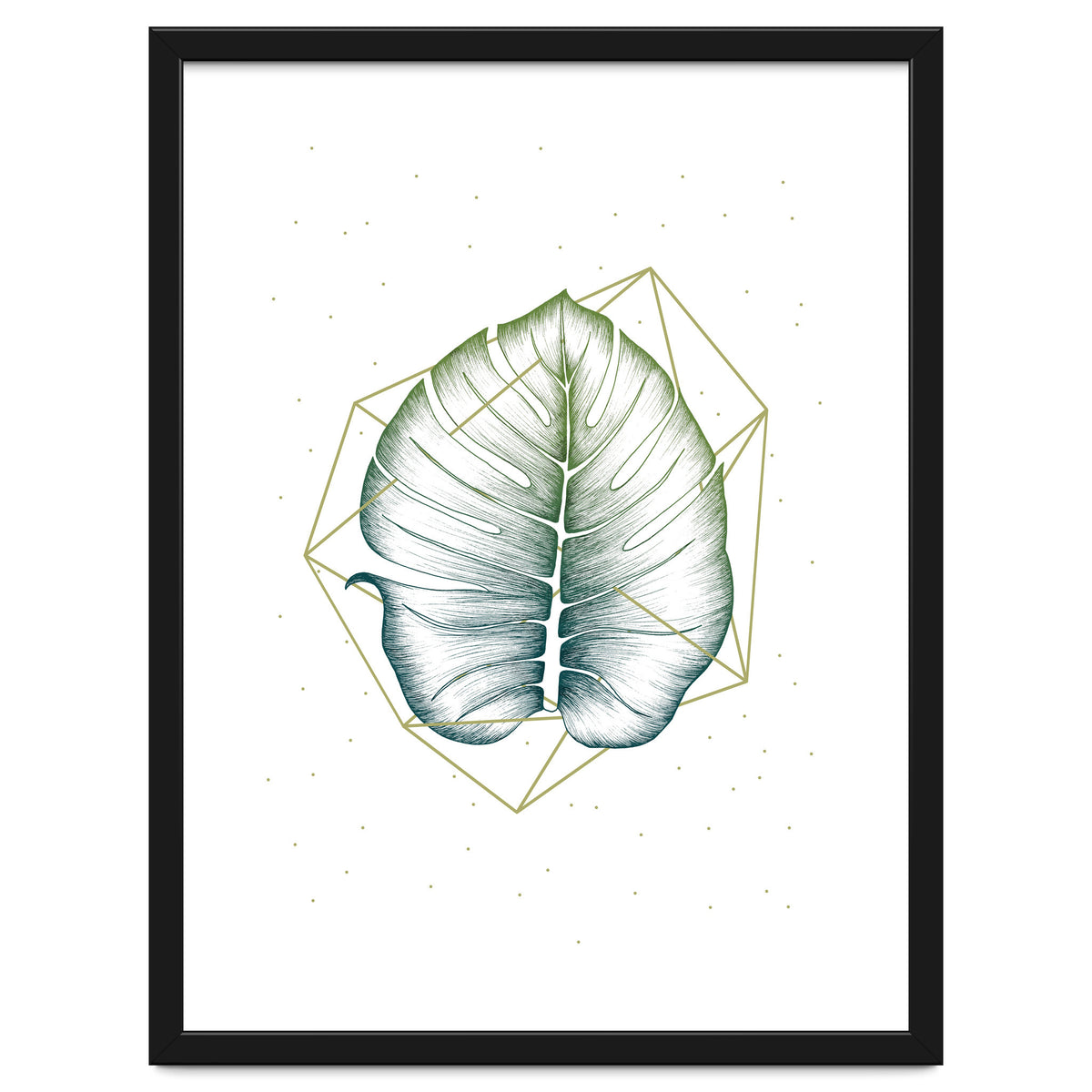 Geometry And Nature II