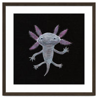 Axolotl