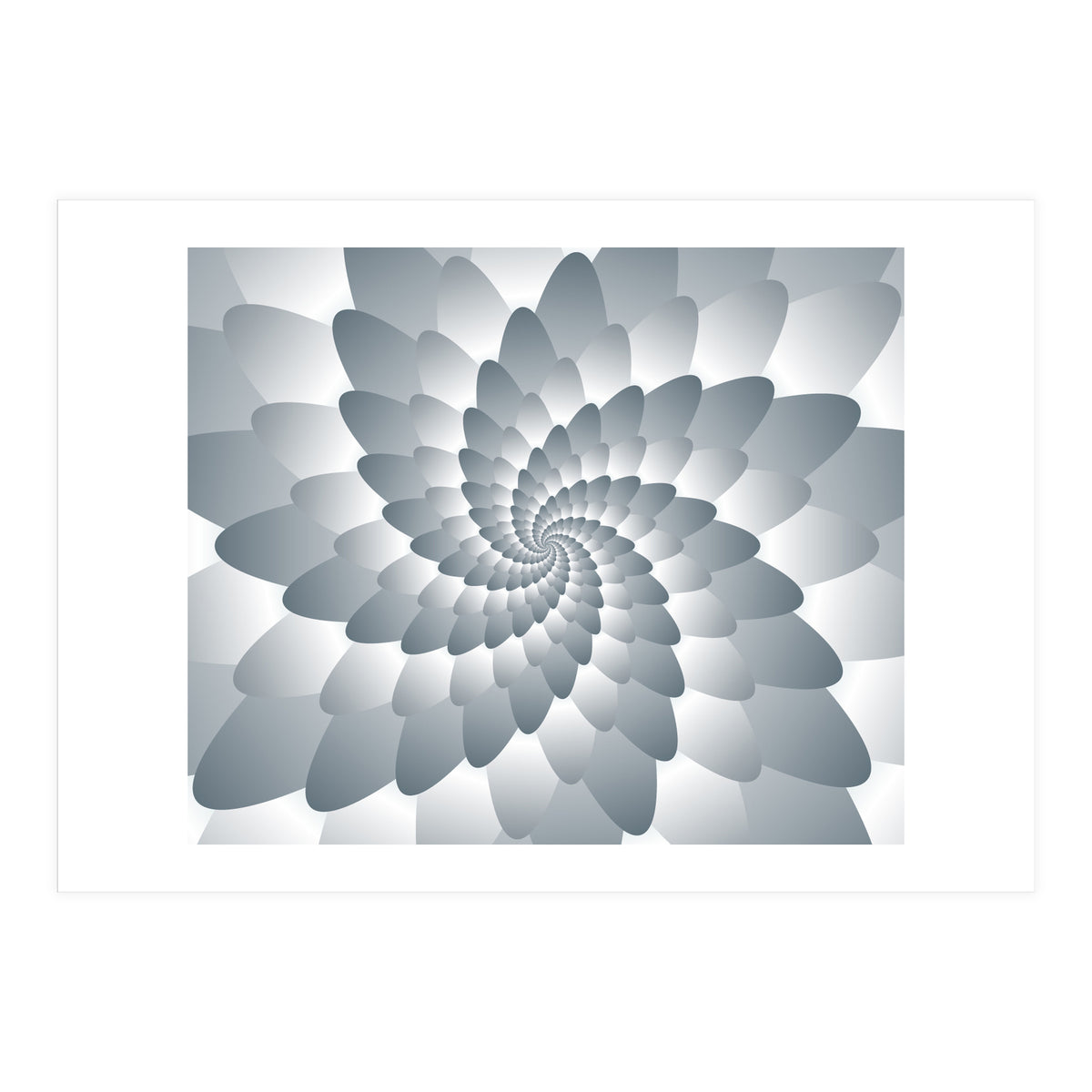 Swirl Wings  (Print Only)