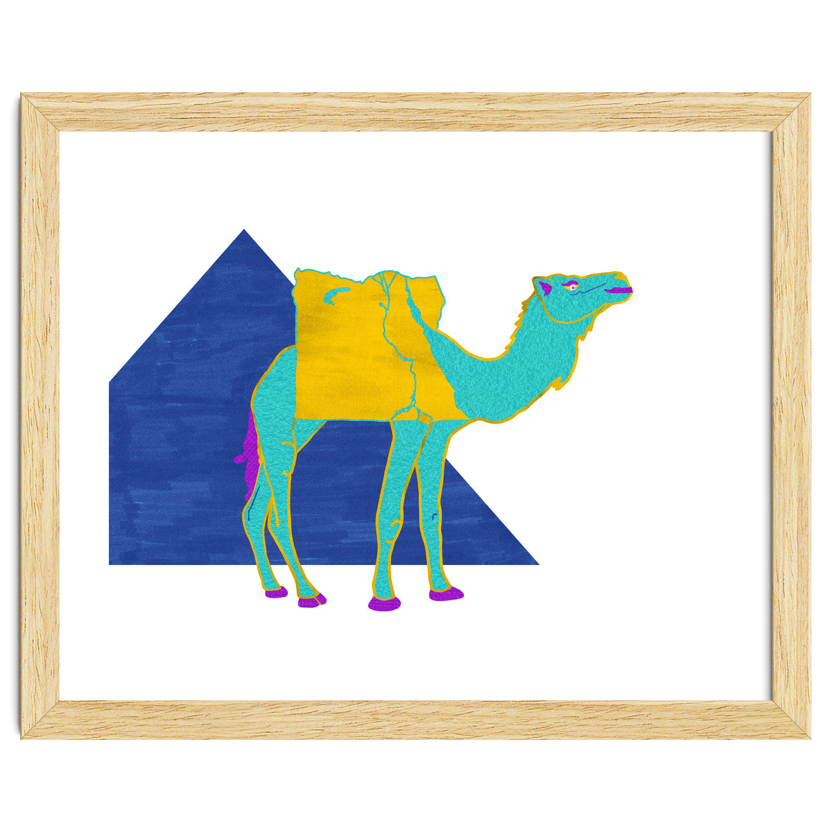 Egyptian Dromedary