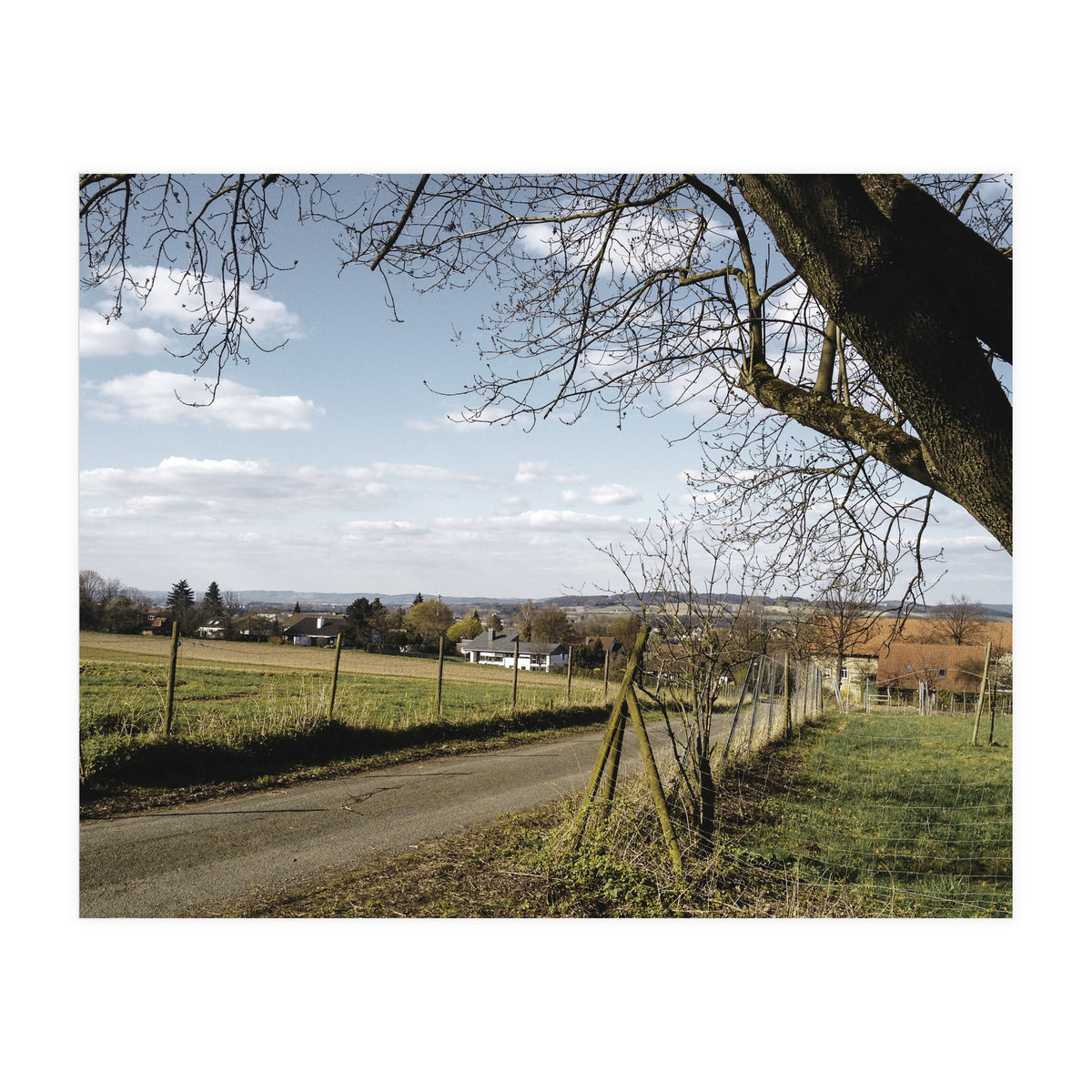 Bucolism 1 (Print Only)