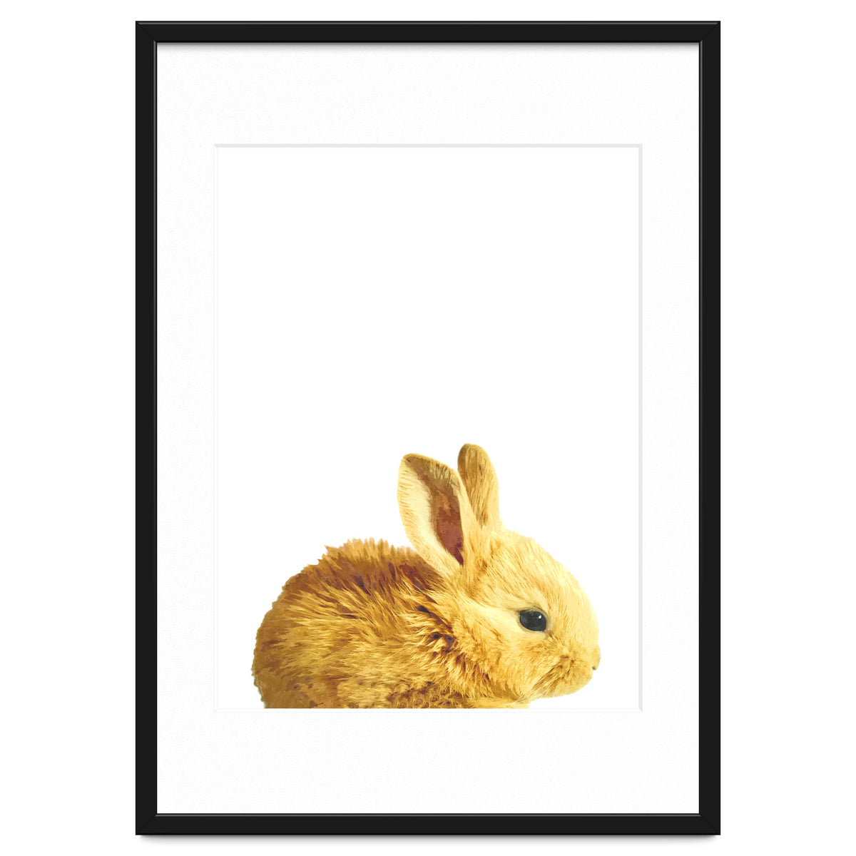 Bunny Portrait
