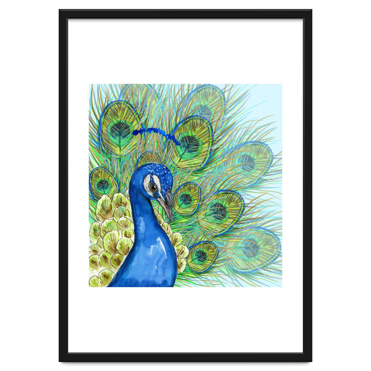 Peacock portrait