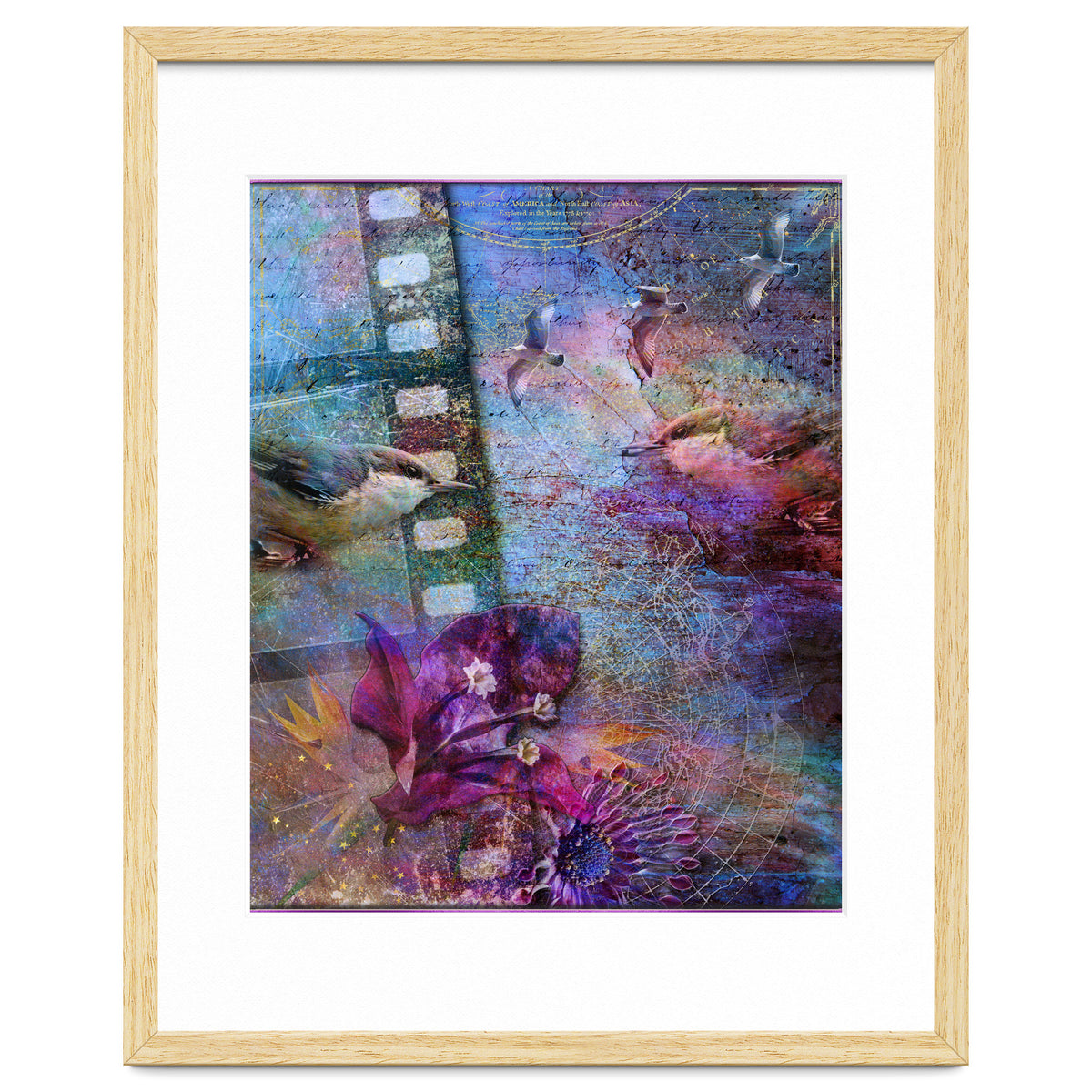 Watching the Wild World