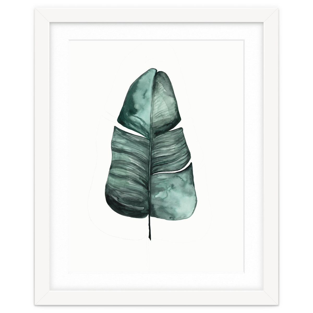 Botanical Illustration Banana Leaf