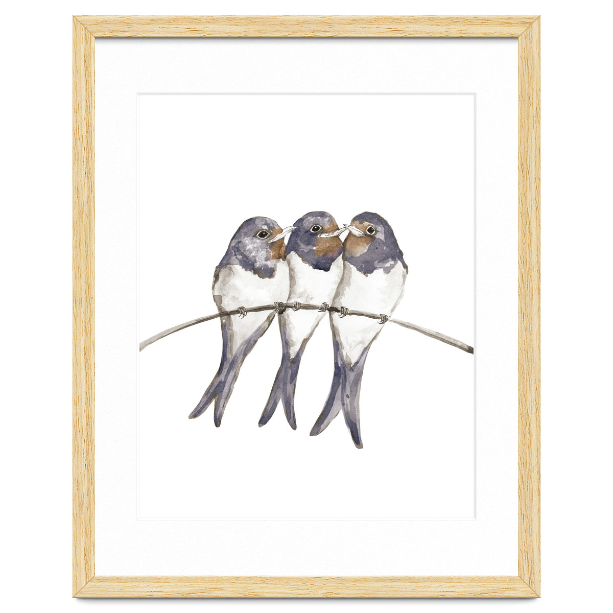 Three young swallows
