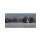 Temple Island Flypast - Henley On Thames (Print Only) thumbnail