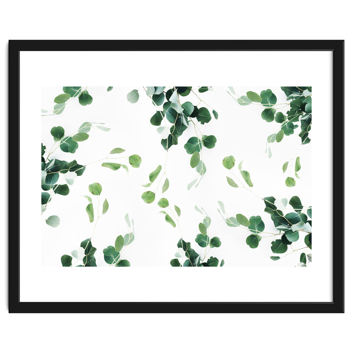 Botanical Celebration