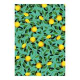 Luxuriance (Print Only) thumbnail