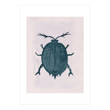 Beetle 2 (Print Only) thumbnail