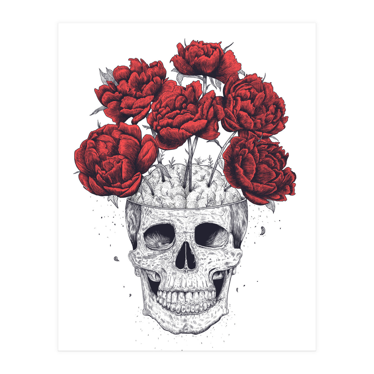 Skull With Peonies (Print Only)