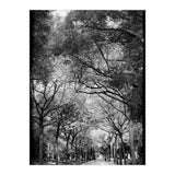 Cemetery alley (Print Only) thumbnail