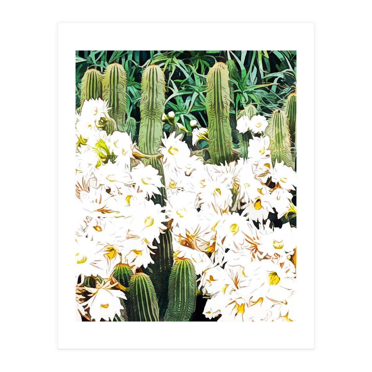 Cactus & Bloom (Print Only)