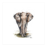 Elephant - Wildlife Collection (Print Only) thumbnail
