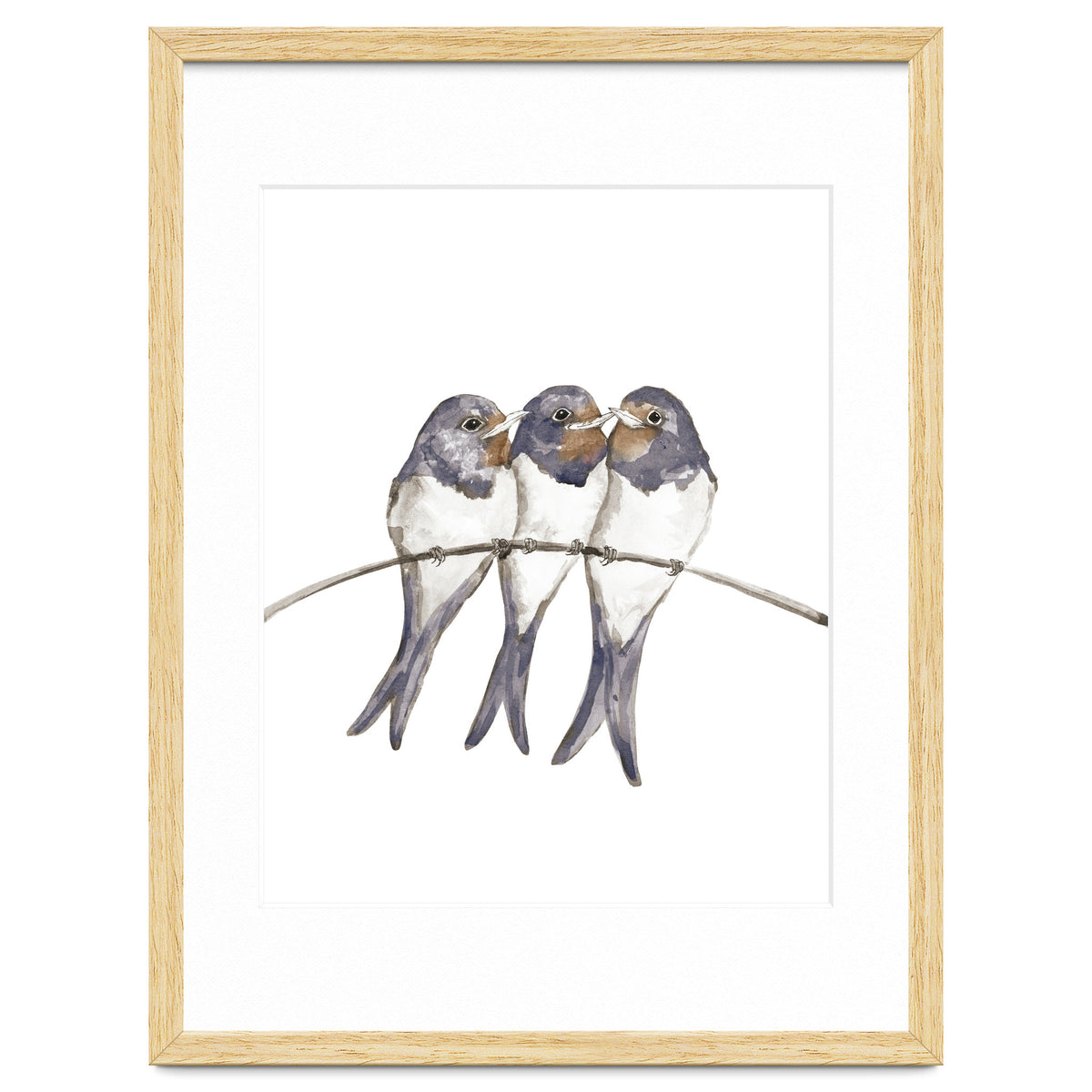Three young swallows