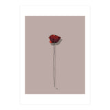 Poppy (Print Only) thumbnail