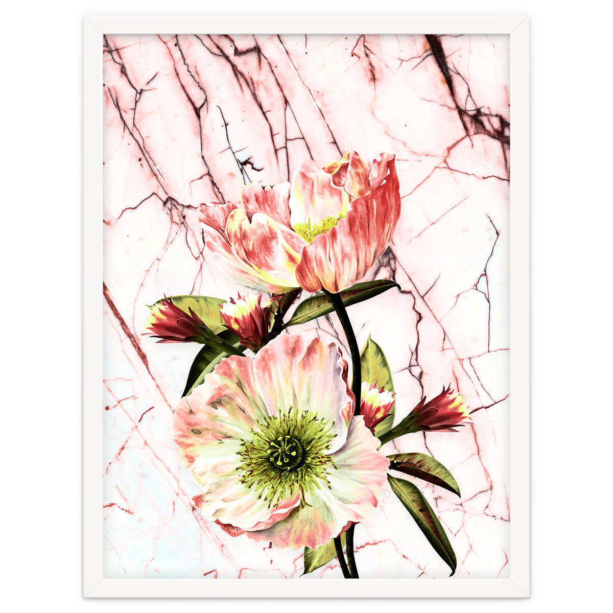 Flowering on pink marble