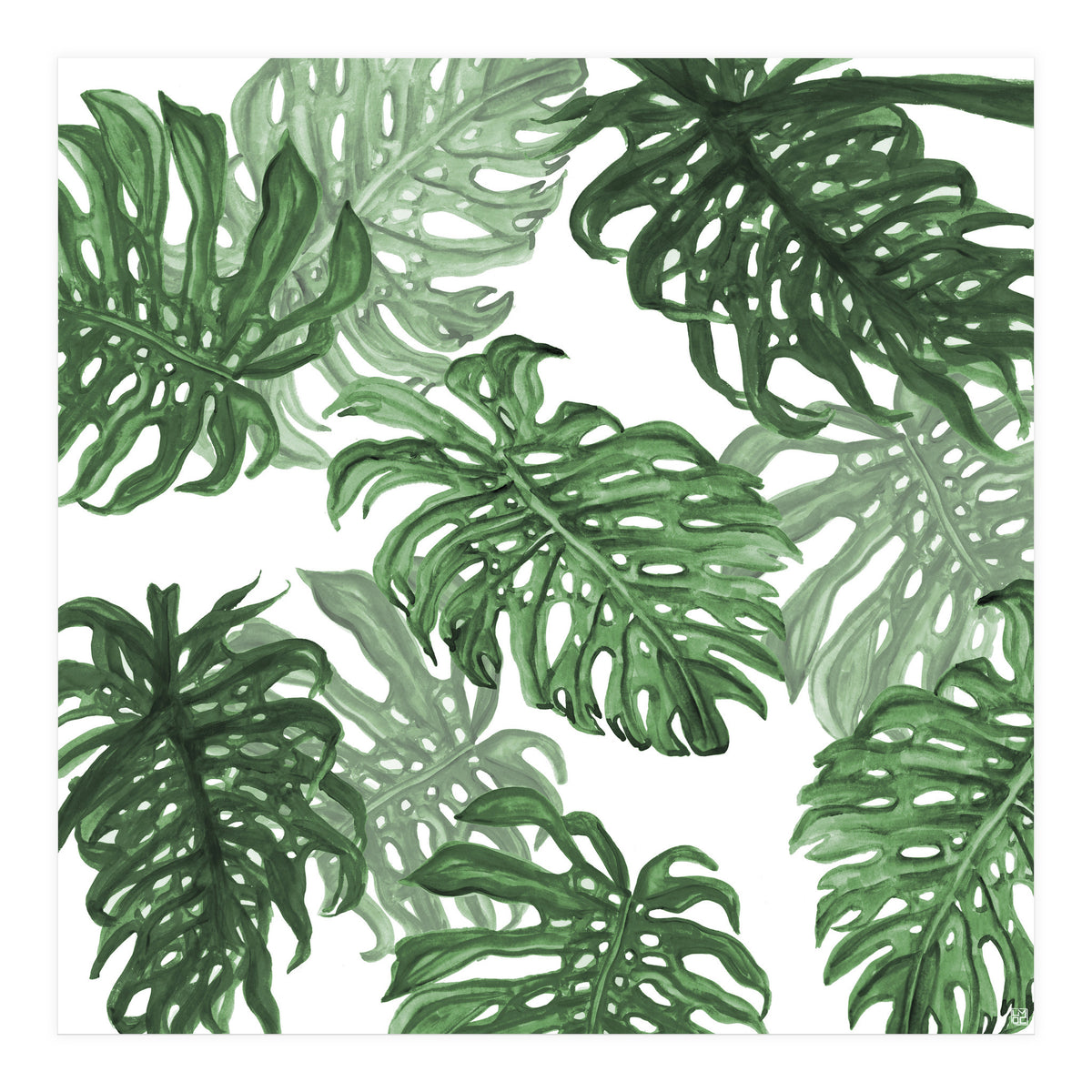Monstera Deliciosa (Print Only)