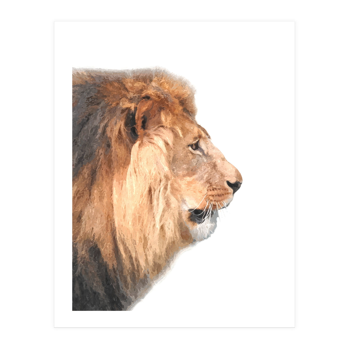 Lion Profile (Print Only)