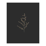 Dainty Botanicals in Gold and Black (Print Only) thumbnail