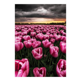 Spring Palette (Print Only) thumbnail