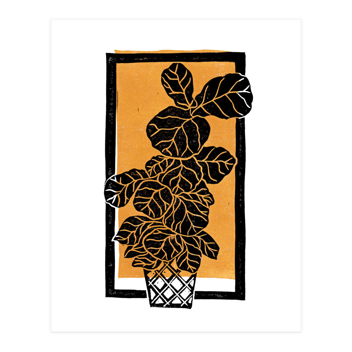 Fiddle Leaf Fig Clean + Sunlight (Print Only)