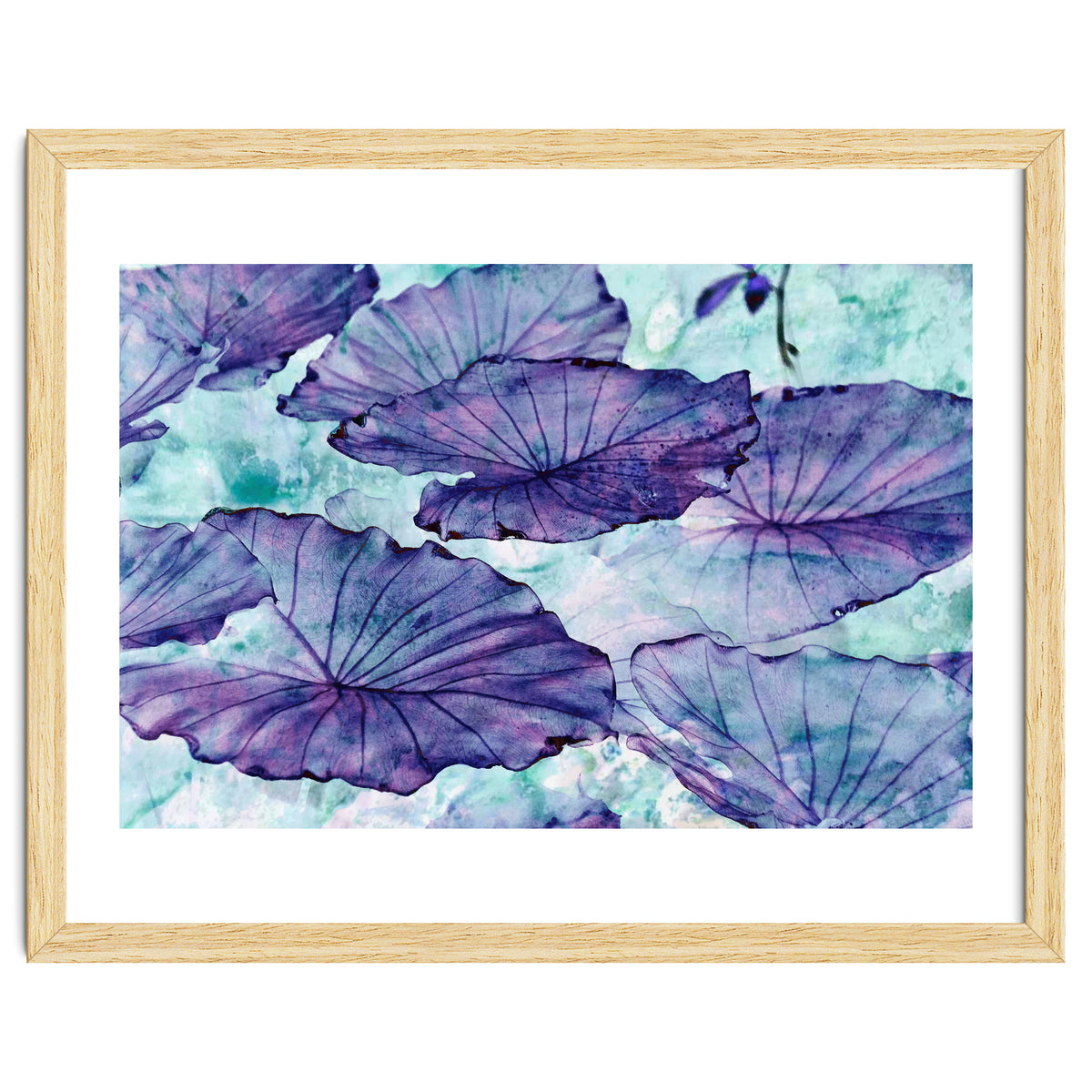 Botanical Surrealism