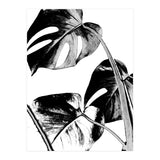 Black Tropical Leaves  (Print Only) thumbnail