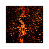 Lulu (Print Only) thumbnail