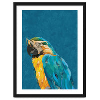 Macaw Portrait Blue Gold Glasses