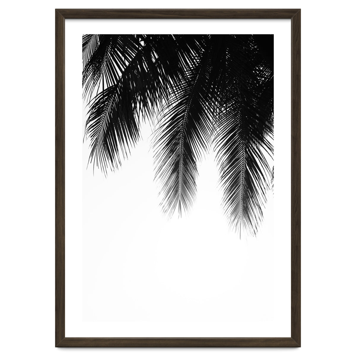 Palm leaves