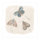 Moths in the moonlight  (Print Only) thumbnail