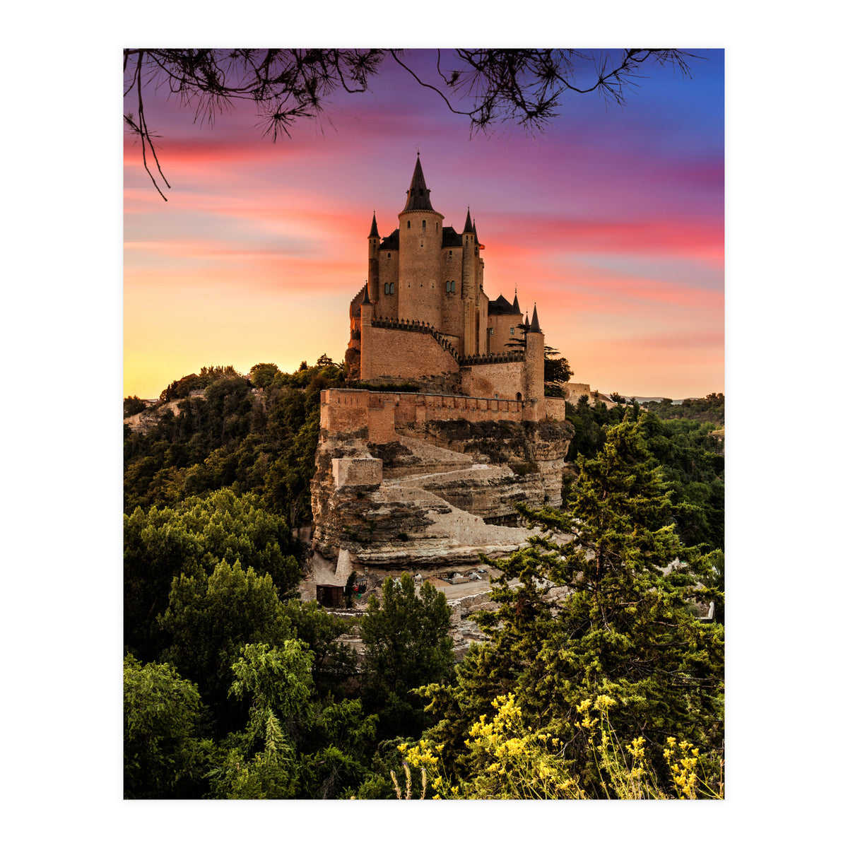 Daydream (Print Only)