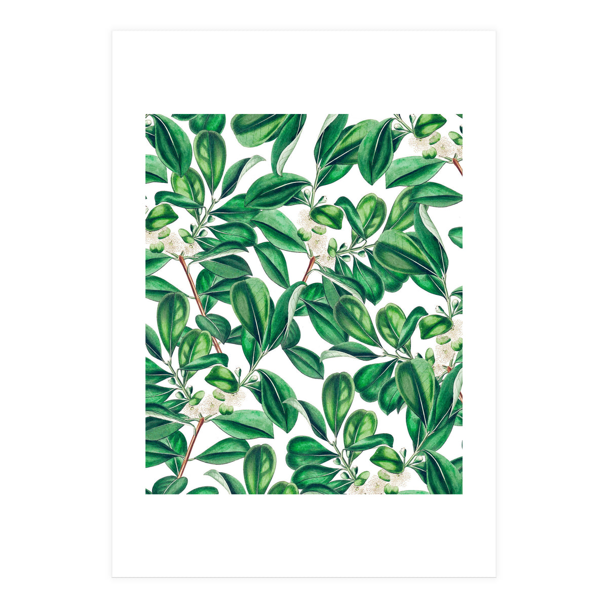 Botanica (Print Only)