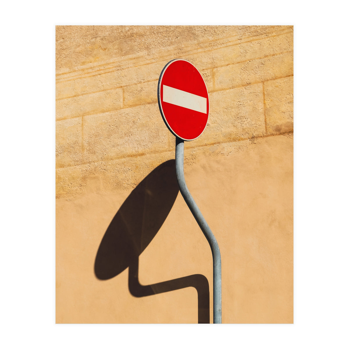 Snake on wall (Print Only)