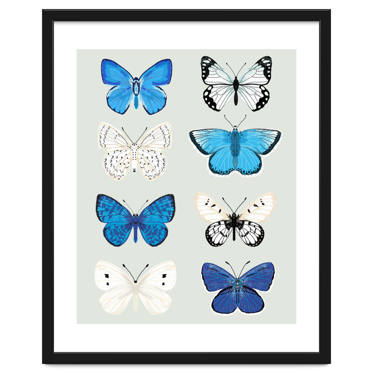 Lepidoptery Study No. 3