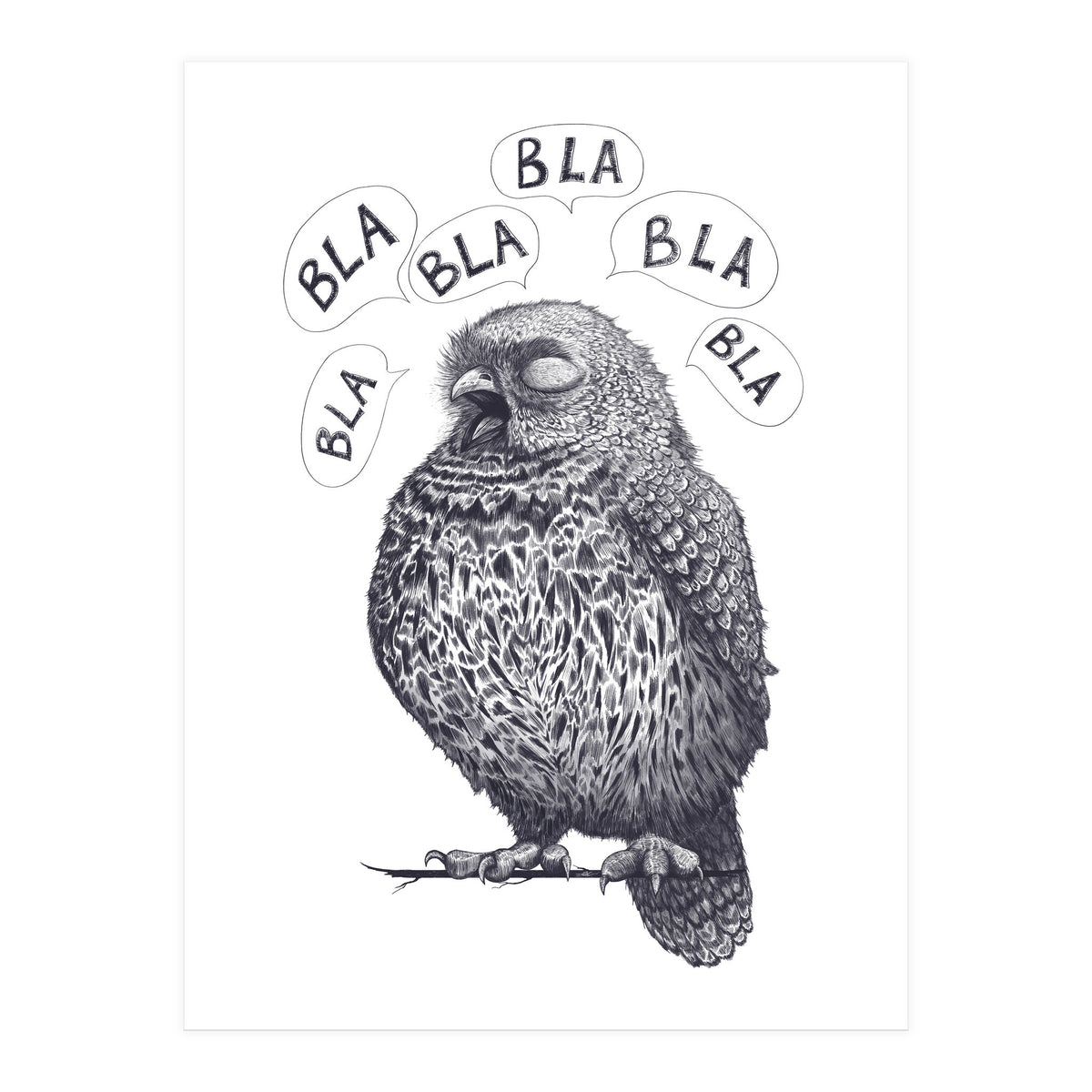 Owl Bla Bla Bla (Print Only)