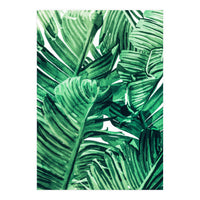 Tropical State of Mind | Watercolor Palm Banana Leaves Painting | Botanical Jungle Bohemian Plants (Print Only)